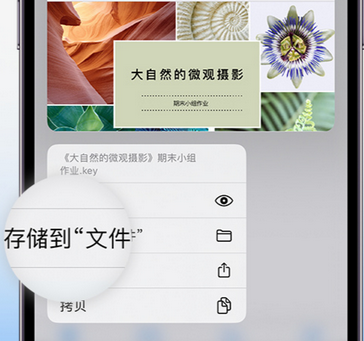 沽源apple维修中心分享iPhone文件应用中存储和找到下载文件