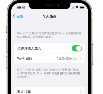 沽源apple服务站点分享iPhone上个人热点丢失了怎么办 