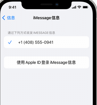 沽源apple维修iPhone上无法正常发送iMessage信息 