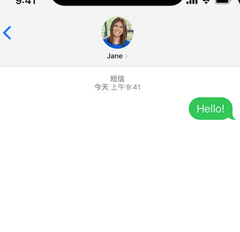 沽源apple维修iPhone上无法正常发送iMessage信息