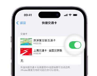 沽源apple维修点分享iPhone上更换Apple Pay快捷交通卡手绘卡面 