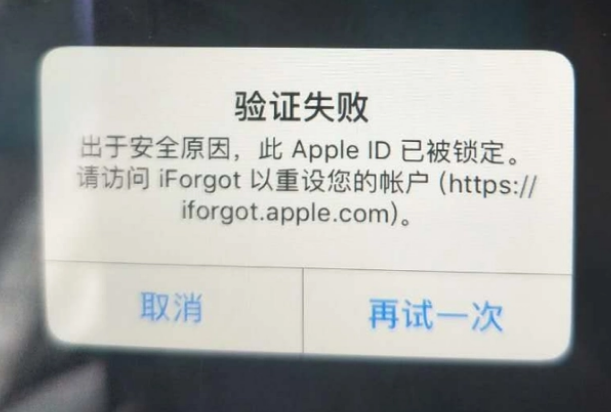 沽源iPhone维修分享iPhone上正常登录或使用AppleID怎么办 