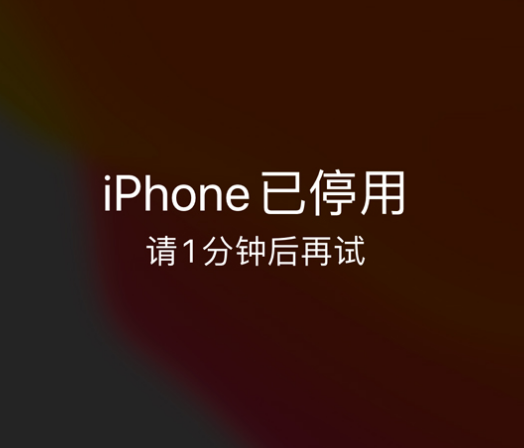 沽源苹果手机维修分享:iPhone 显示“不可用”或“已停用”怎么办？还能保留数据吗？ 