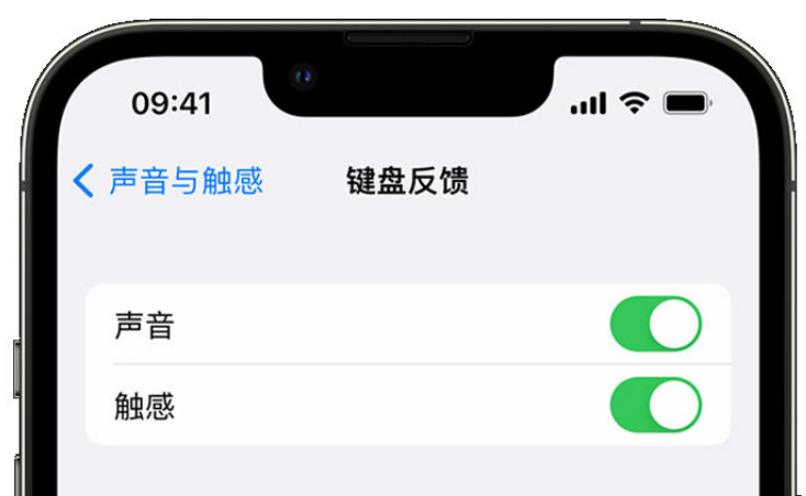 沽源苹果手机维修分享iPhone 14触感键盘使用方法 