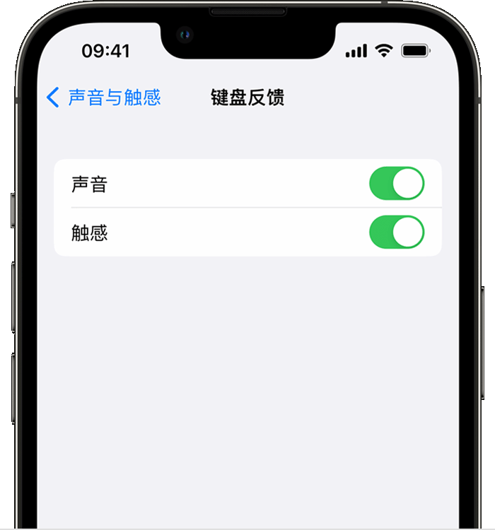 沽源苹果14维修店分享如何在 iPhone 14 机型中使用触感键盘 