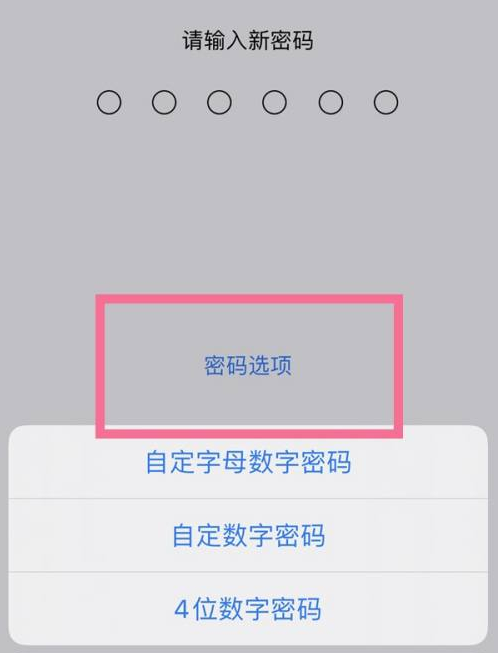 沽源苹果14维修分享iPhone 14plus设置密码的方法 