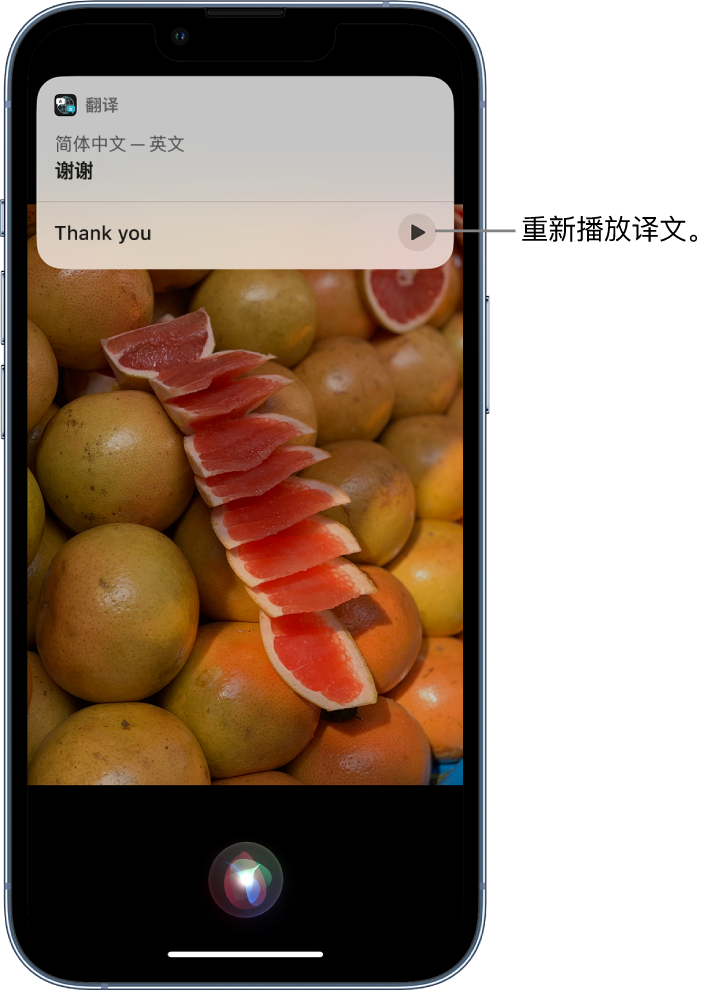 沽源苹果14维修分享 iPhone 14 机型中使用 Siri：了解 Siri 能帮你做什么 