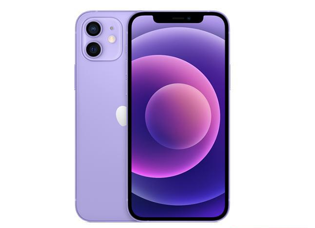 沽源苹果手机维修分享现阶段要不要入手紫色版iPhone12 