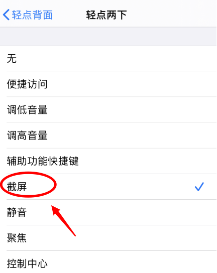 沽源苹果手机维修分享iPhone12如何启用双击截屏 